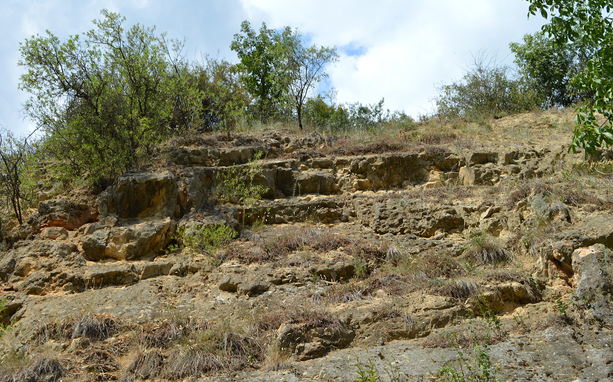 templom-hegyi-ammonitesz-tanosveny-meszko-lepcsok